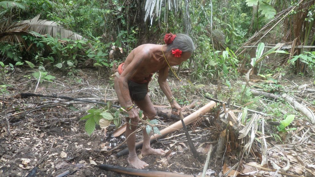 Mentawai shaman planting a tree