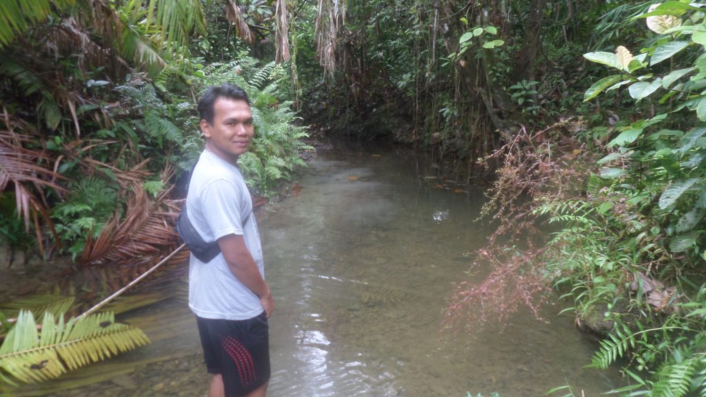 Eru Mamak in Siberut