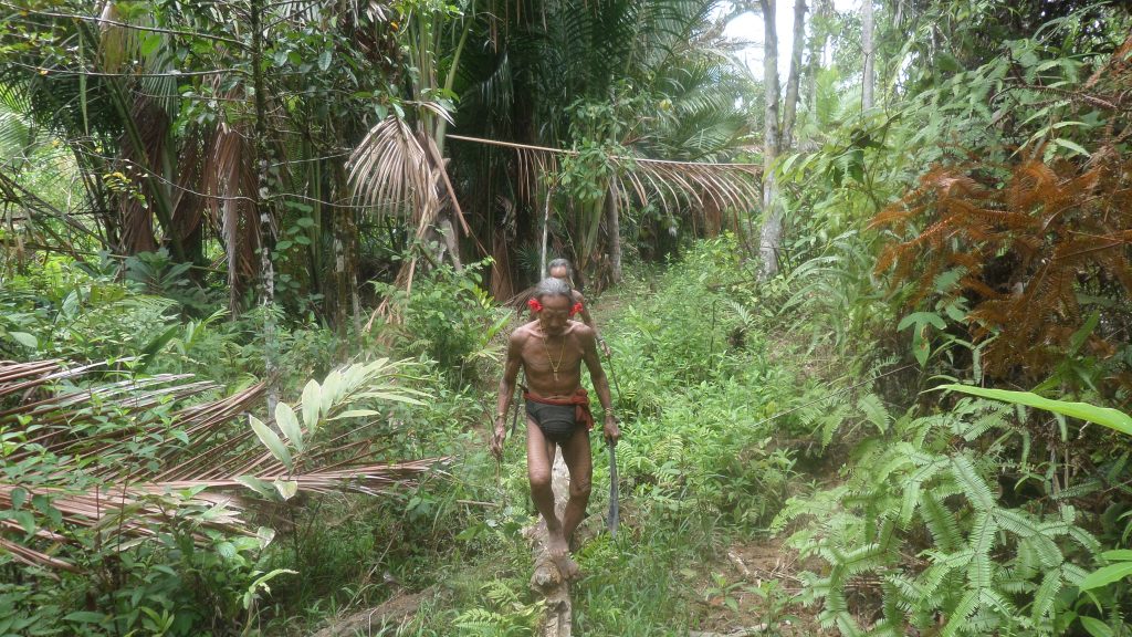 Mentawai shamans